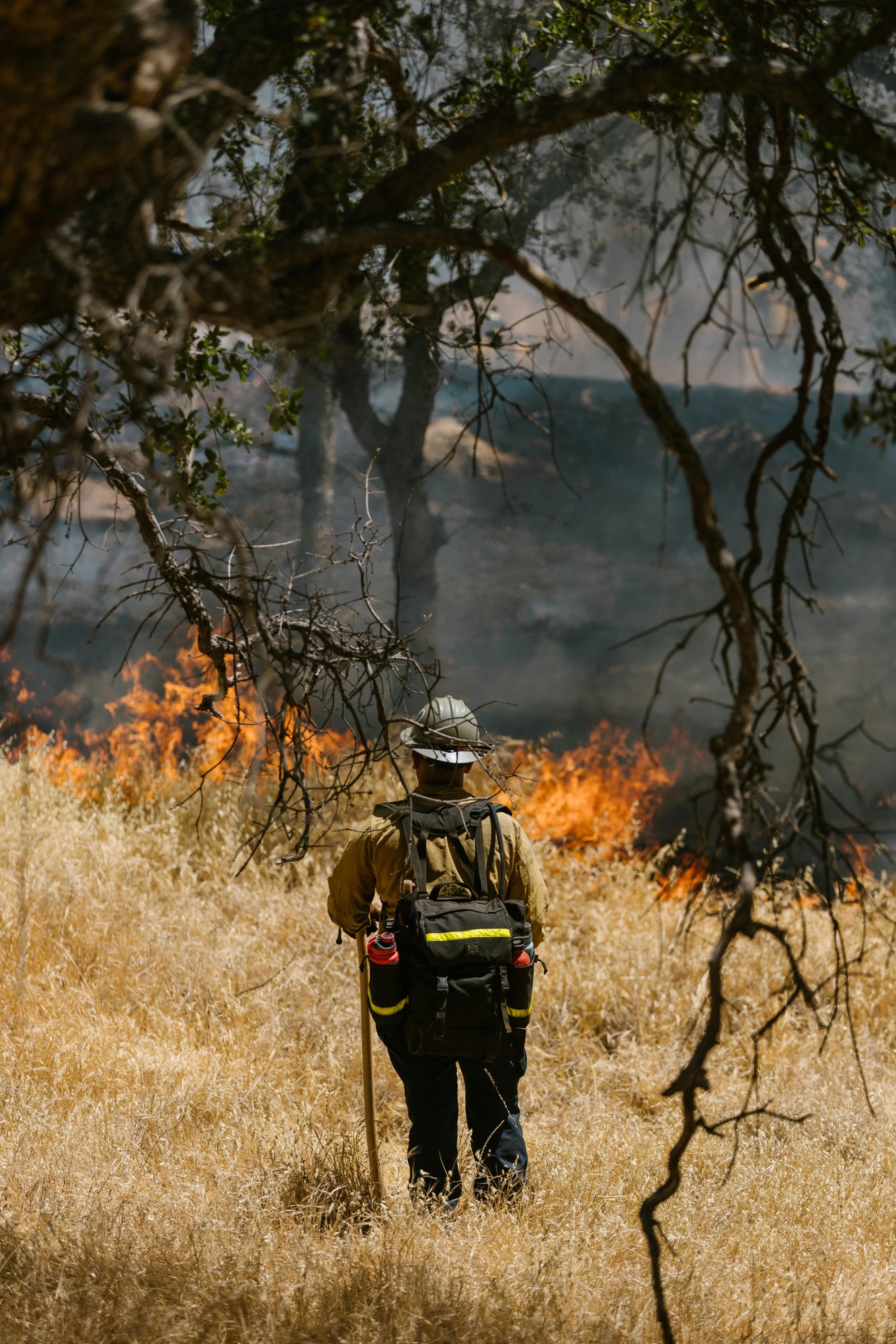 firefighter looking at wildfire